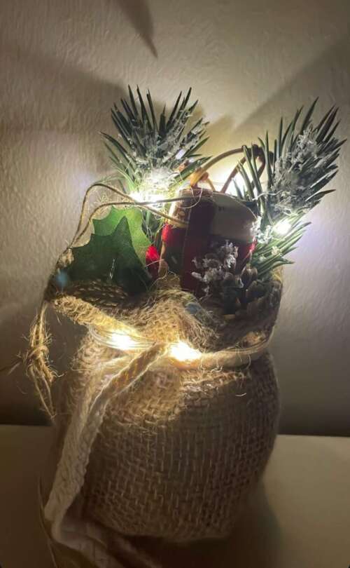 SACCOCCINO LUMINOSO PACCHETTO Agrifolgio